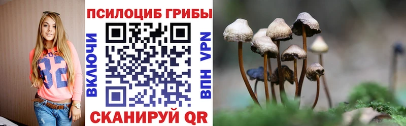 Галлюциногенные грибы Magic Shrooms  Купить  Одинцово 